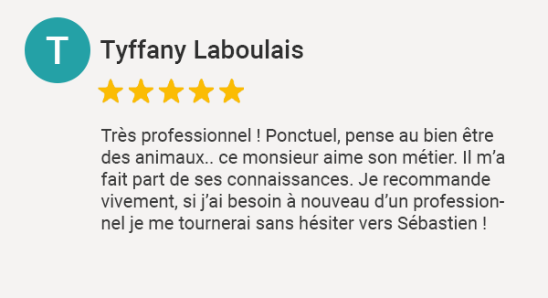 Avis Google