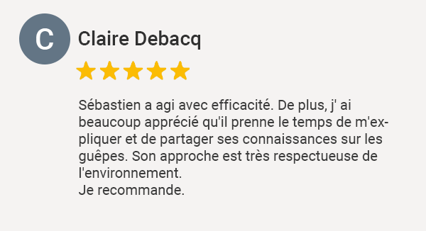Avis Google