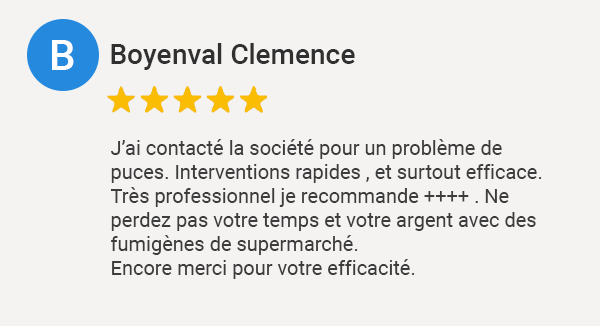 Avis Google