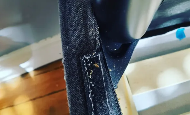 Traitement de punaises de lit dans un Airbnb à Amiens, Amiens, DFGN 80