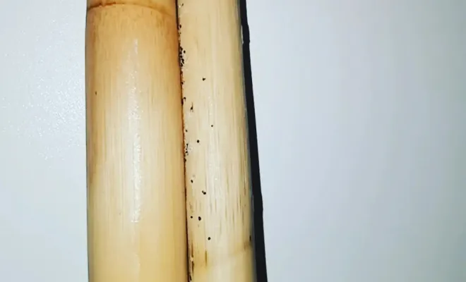 Traitement de punaises de lit dans un Airbnb à Amiens, Amiens, DFGN 80