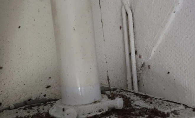 Diagnostique et traitement approprié à chaque situation, Amiens, DFGN 80