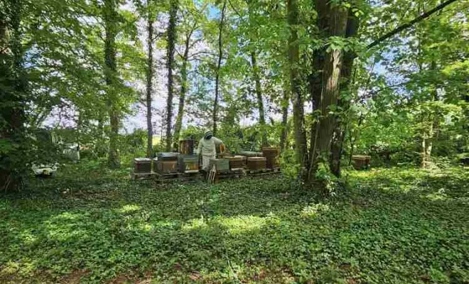 Apiculture, Amiens, DFGN 80