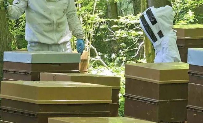 Apiculture, Amiens, DFGN 80