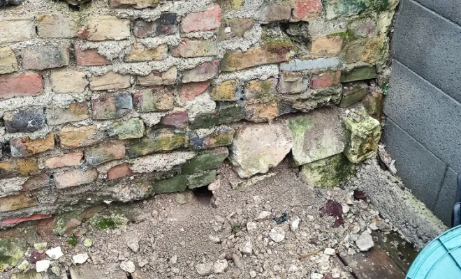 Élimination de souris et de rats, Amiens, DFGN 80